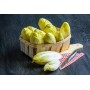 Destockage ENDIVE JAUNE TOMABEL - cash-alimentaire.com