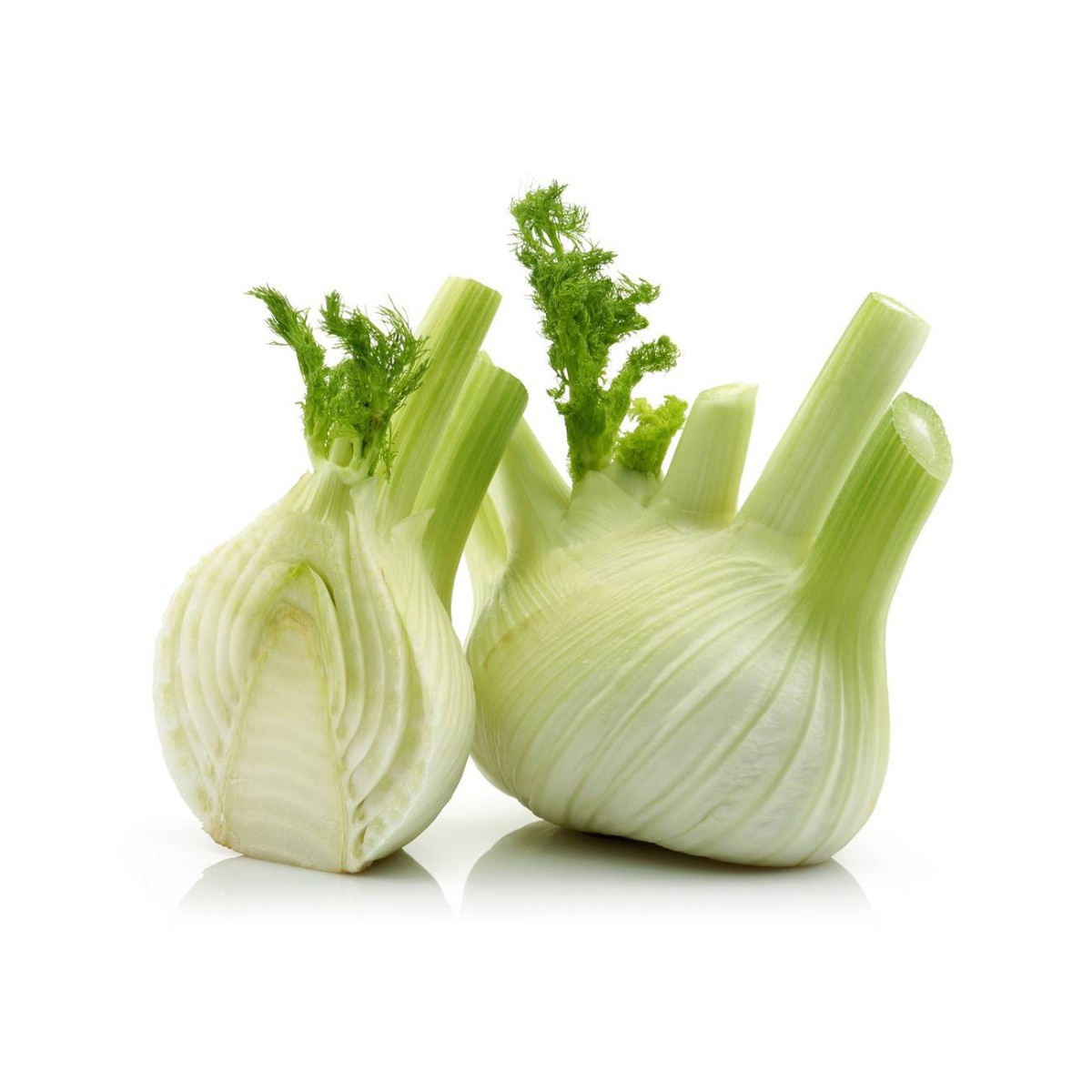 Destockage FENOUIL EXTRA IL NOSTRANO - cash-alimentaire.com