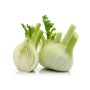 Destockage FENOUIL EXTRA IL NOSTRANO - cash-alimentaire.com