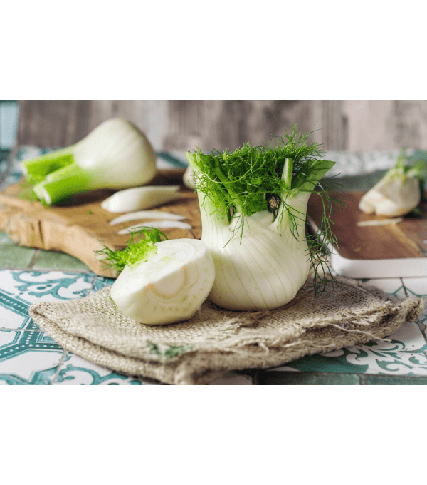 Destockage FENOUIL EXTRA IL NOSTRANO - cash-alimentaire.com