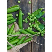 Destockage POIS GOURMAND MANGE-TOUT CASE - cash-alimentaire.com