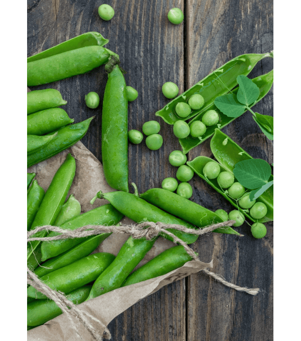 Destockage POIS GOURMAND MANGE-TOUT CASE - cash-alimentaire.com