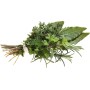Destockage BOUQUET GARNI CASE - cash-alimentaire.com