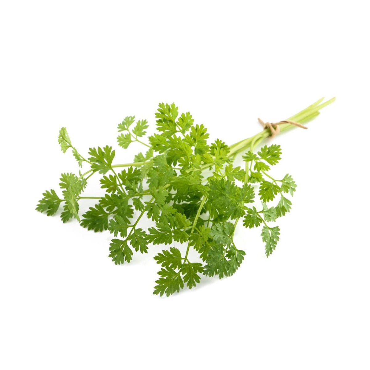 Destockage CERFEUIL CASE - cash-alimentaire.com