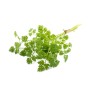 Destockage CERFEUIL CASE - cash-alimentaire.com