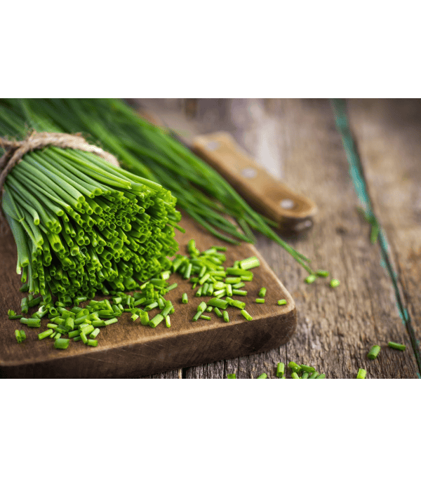 Destockage CIBOULETTE BRINS CASE - cash-alimentaire.com