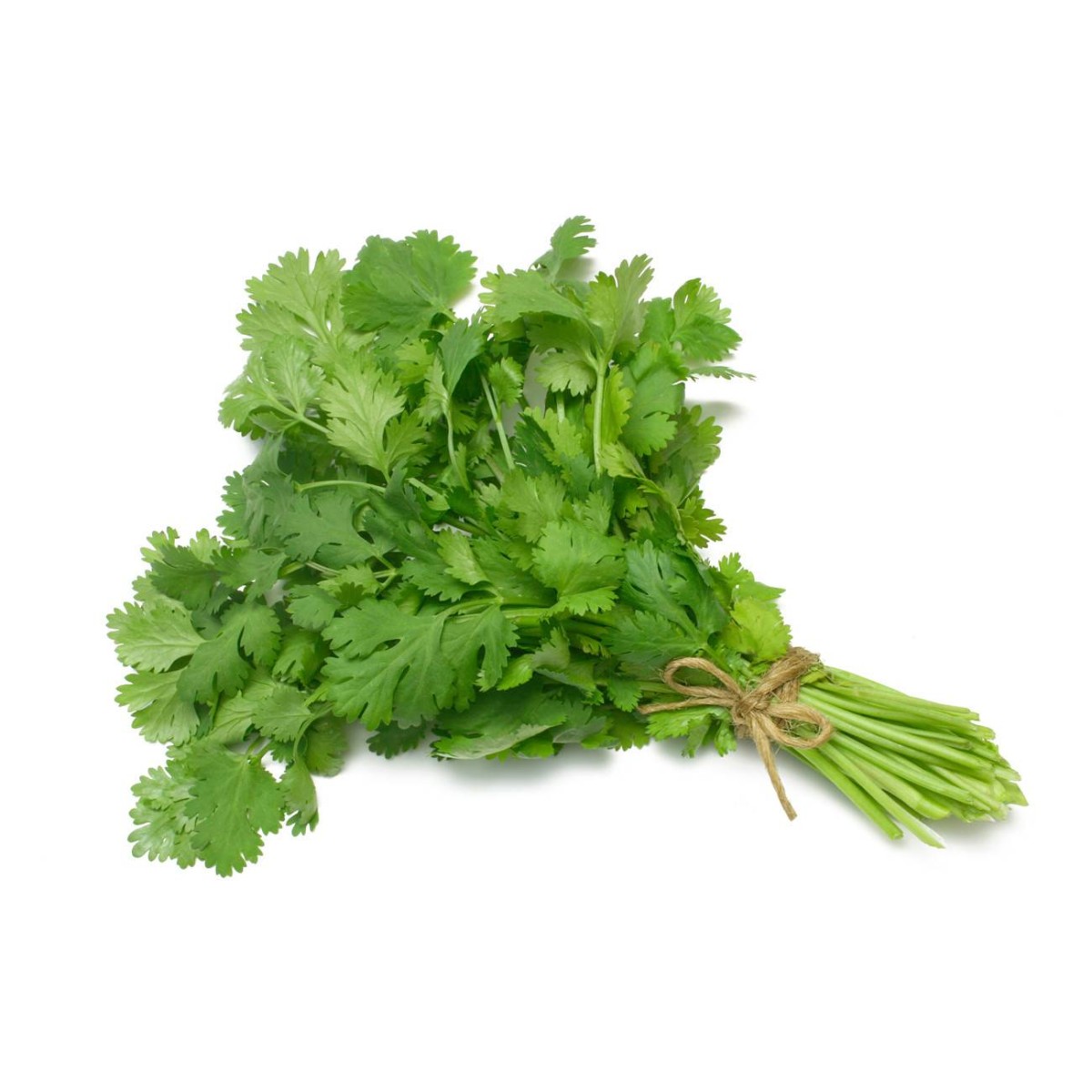 Destockage CORIANDRE BRINS CASE - cash-alimentaire.com
