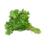 Destockage CORIANDRE BRINS CASE - cash-alimentaire.com