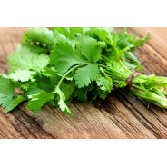 Destockage CORIANDRE BRINS CASE - cash-alimentaire.com