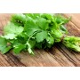 Destockage CORIANDRE BRINS CASE - cash-alimentaire.com