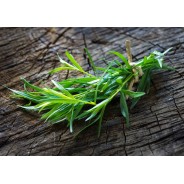 Destockage ESTRAGON CASE - cash-alimentaire.com