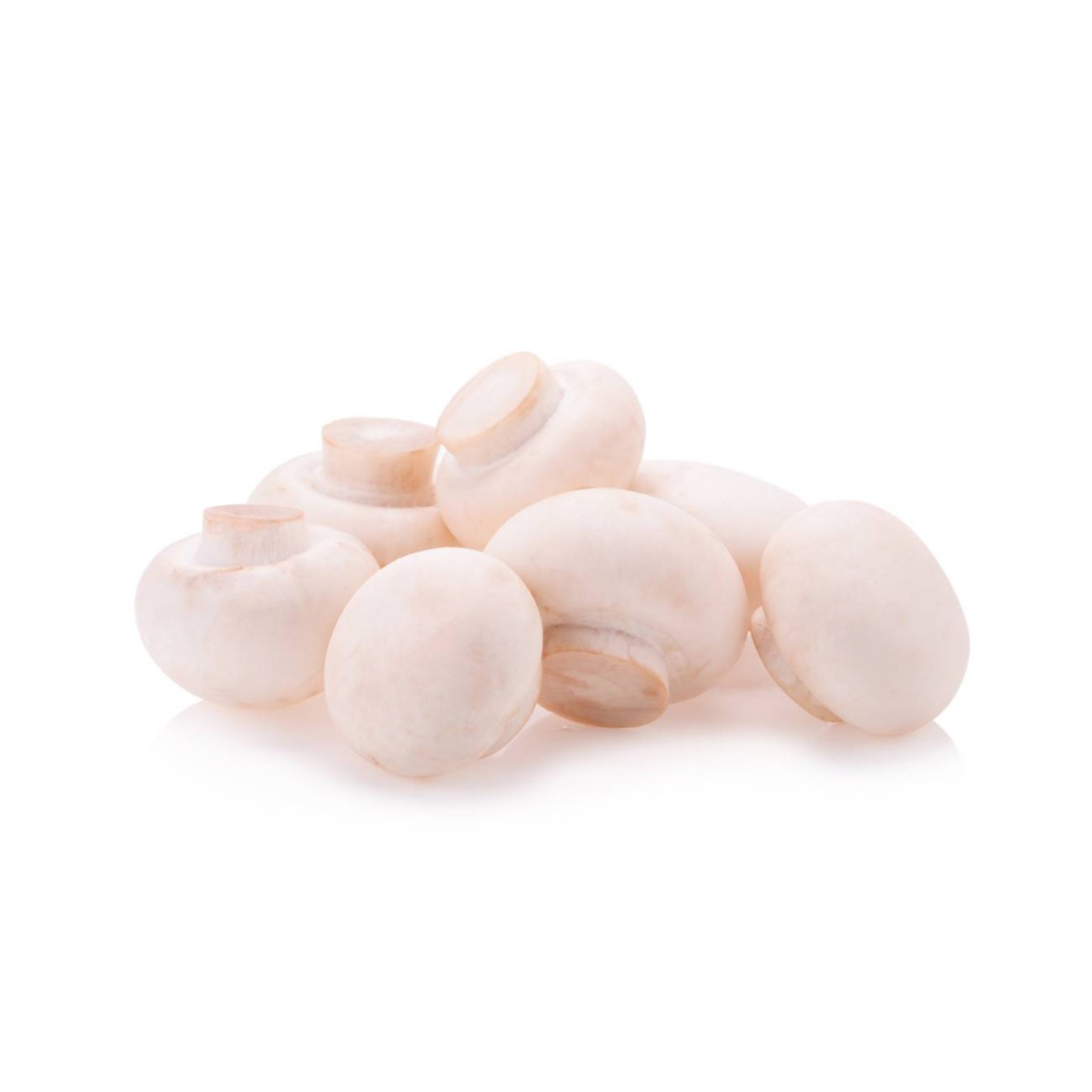 Destockage CHAMPIGNONS PARIS MOYEN VIALADE - cash-alimentaire.com