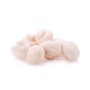 Destockage CHAMPIGNONS PARIS MOYEN VIALADE - cash-alimentaire.com