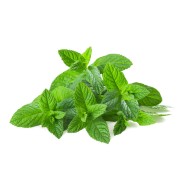 Destockage MENTHE BRINS CASE - cash-alimentaire.com