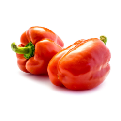 Destockage POIVRON ROUGE EXTRA CLOVIS GGA FERNA - cash-alimentaire.com