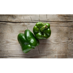 Destockage POIVRON VERT CALIFORNIA GGA MURGIVERDE - cash-alimentaire.com