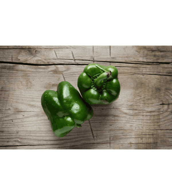 Destockage POIVRON VERT CALIFORNIA GGA MURGIVERDE - cash-alimentaire.com