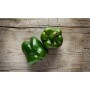Destockage POIVRON VERT CALIFORNIA GGA MURGIVERDE - cash-alimentaire.com