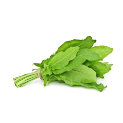 Destockage ORIGAN ORTINGAUNIA - cash-alimentaire.com