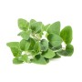 Destockage OSEILLE CASE - cash-alimentaire.com