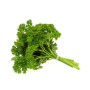 Destockage PERSIL FRISE CASE - cash-alimentaire.com