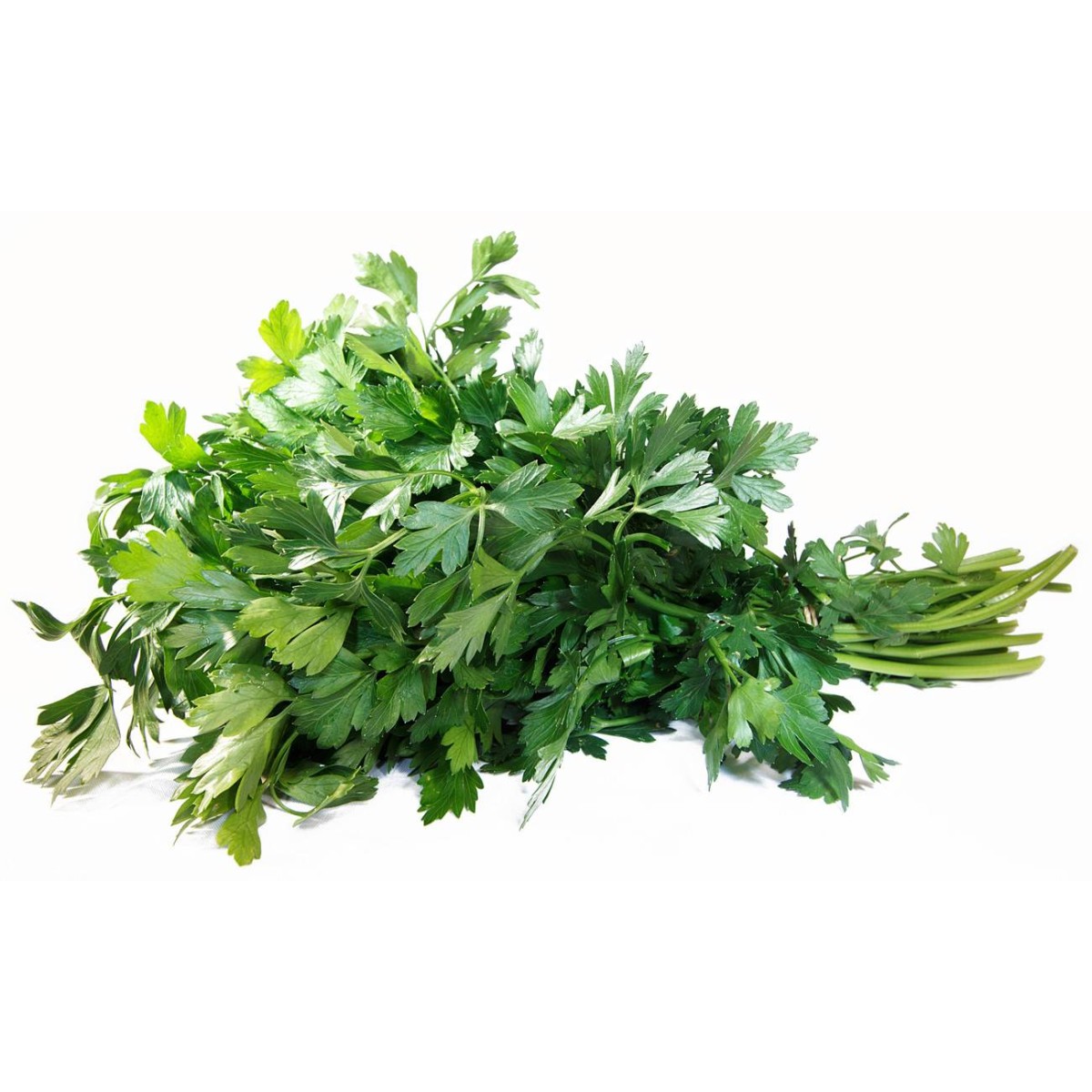 Destockage PERSIL PLAT TRANIFRUIT - cash-alimentaire.com