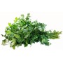 Destockage PERSIL PLAT TRANIFRUIT - cash-alimentaire.com