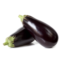 Destockage AUBERGINE NOIRE EUROSUR - cash-alimentaire.com