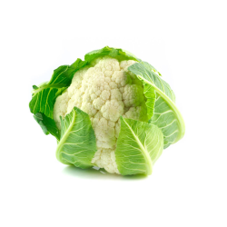 Destockage CHOU FLEUR BLANC RICCO - cash-alimentaire.com