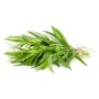 Destockage ESTRAGON CASE - cash-alimentaire.com