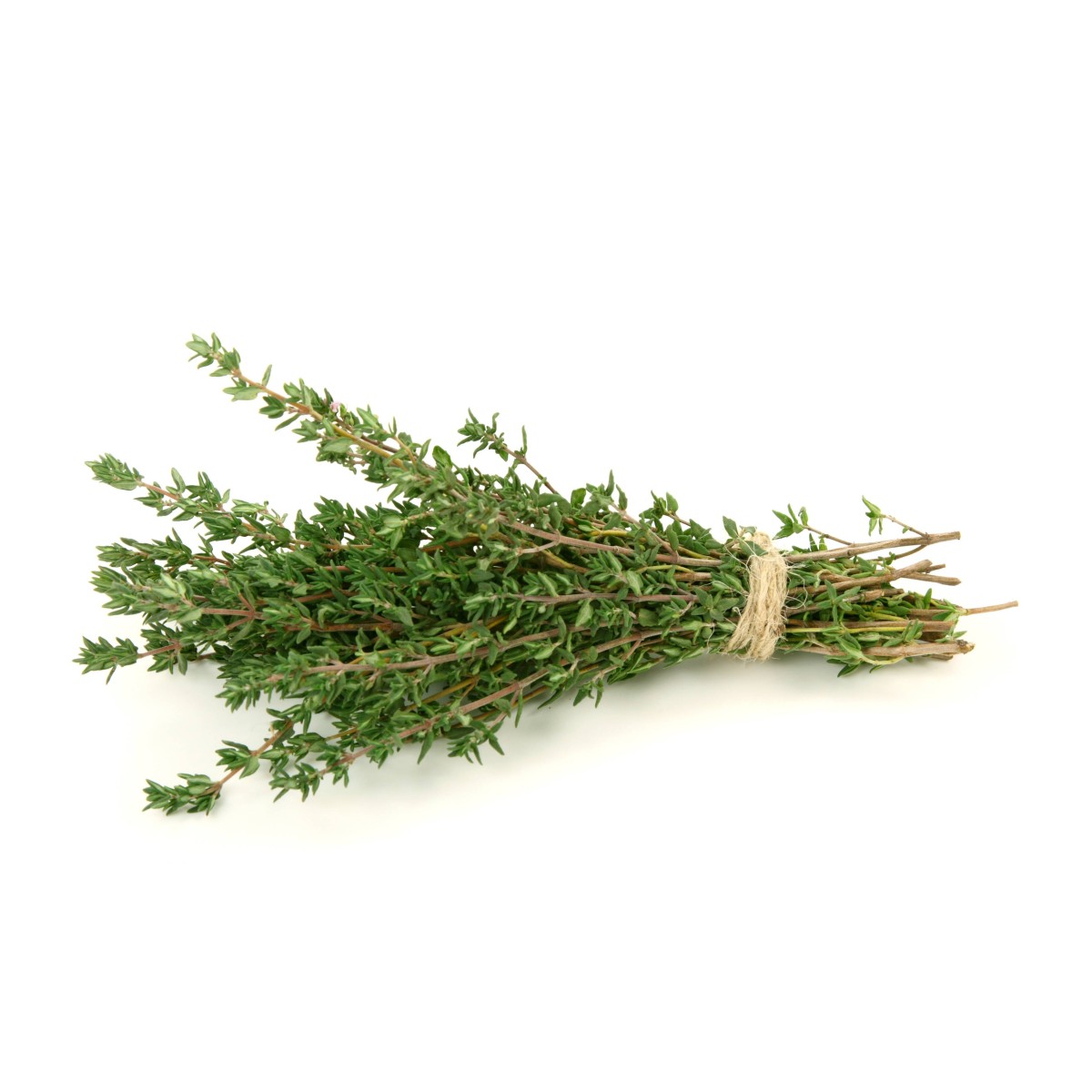 Destockage THYM CASE - cash-alimentaire.com