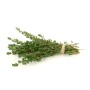 Destockage THYM CASE - cash-alimentaire.com