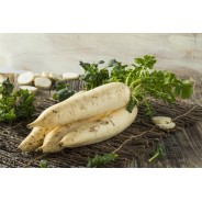 Destockage NAVET LONG ALOE - cash-alimentaire.com