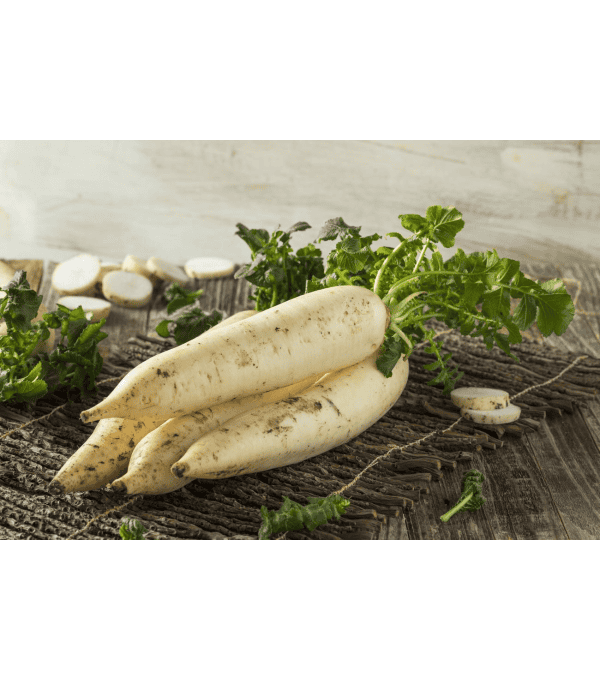 Destockage NAVET LONG ALOE - cash-alimentaire.com
