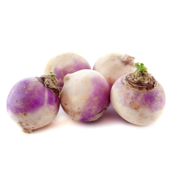 Destockage NAVET ROND ALOE - cash-alimentaire.com