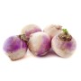 Destockage NAVET ROND ALOE - cash-alimentaire.com