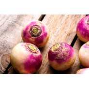 Destockage NAVET ROND ALOE - cash-alimentaire.com