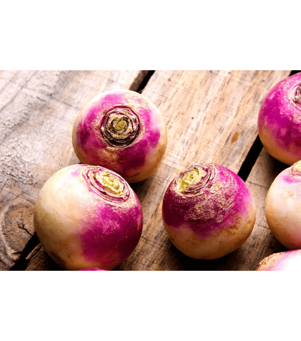 Destockage NAVET ROND ALOE - cash-alimentaire.com
