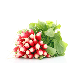 Destockage RADIS LONG DELICES SABLES - cash-alimentaire.com