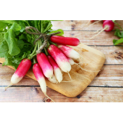 Destockage RADIS LONG DELICES SABLES - cash-alimentaire.com