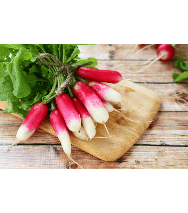 Destockage RADIS LONG DELICES SABLES - cash-alimentaire.com