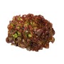 Destockage FEUILLE DE CHENE ROUGE PLEINE TERRE CASE - cash-alimentaire.com