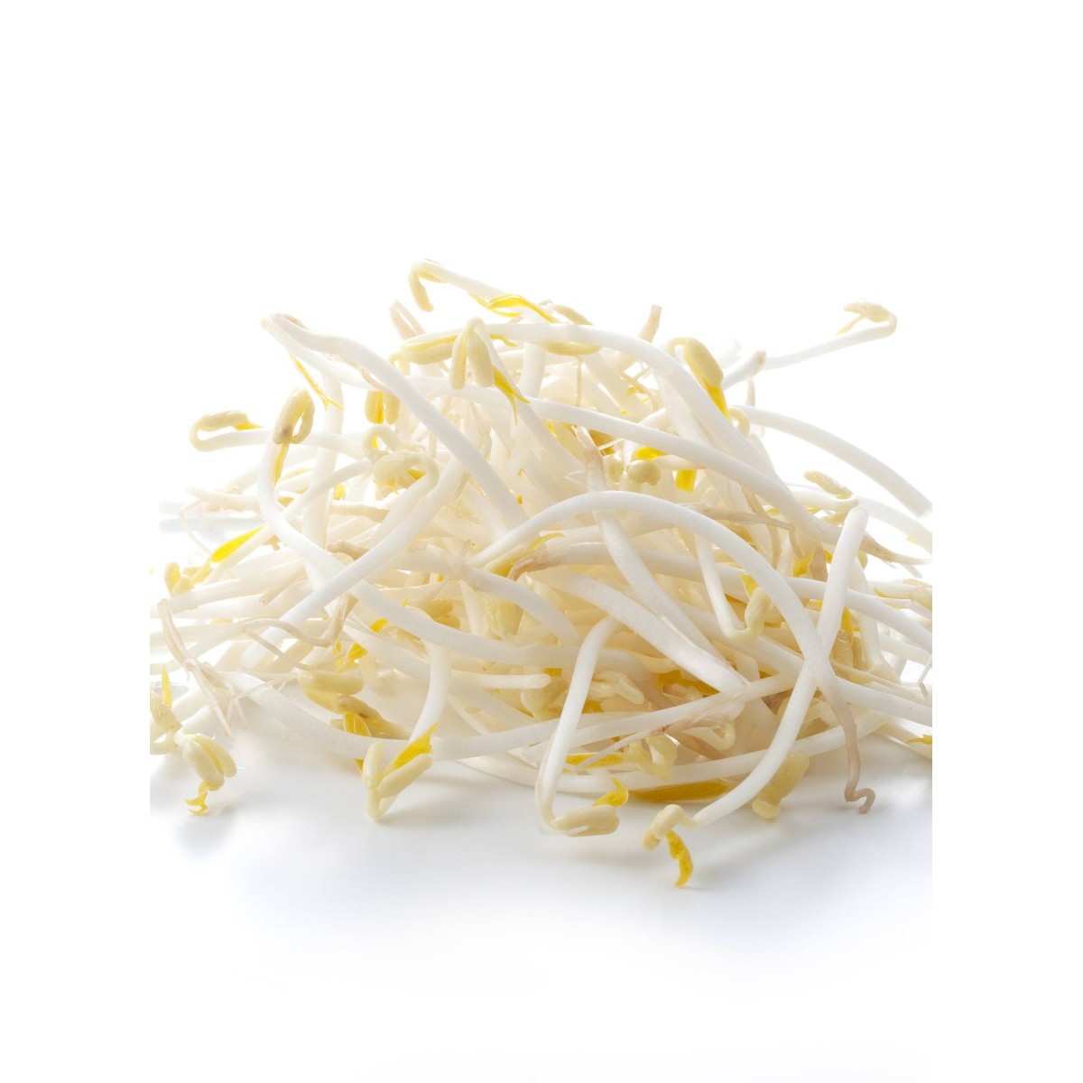 Destockage GERME DE SOJA DELI POUSSE - cash-alimentaire.com