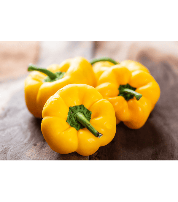 Destockage POIVRON JAUNE CLOVIS GGA BORRACCIA - cash-alimentaire.com