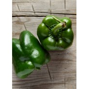 Destockage POIVRON VERT EXTRA CLOVIS GGA CARTASOL - cash-alimentaire.com