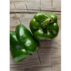 Destockage POIVRON VERT EXTRA CLOVIS GGA CARTASOL - cash-alimentaire.com