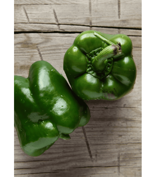 Destockage POIVRON VERT EXTRA CLOVIS GGA CARTASOL - cash-alimentaire.com