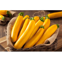 Destockage COURGETTE JAUNE CASE - cash-alimentaire.com