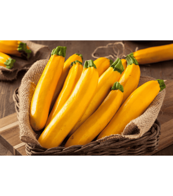 Destockage COURGETTE JAUNE CASE - cash-alimentaire.com