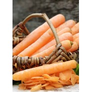 Destockage CAROTTE CASE - cash-alimentaire.com